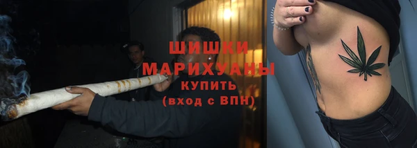 шишки Магадан