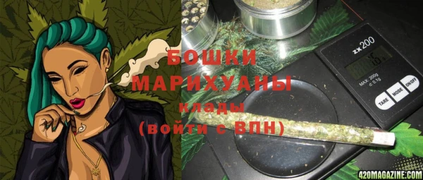 шишки Магадан